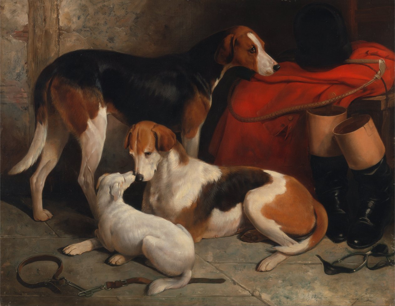 Et par rævehunde med en terrier, som tilhører Lord Henry Bentinck af William Barraud