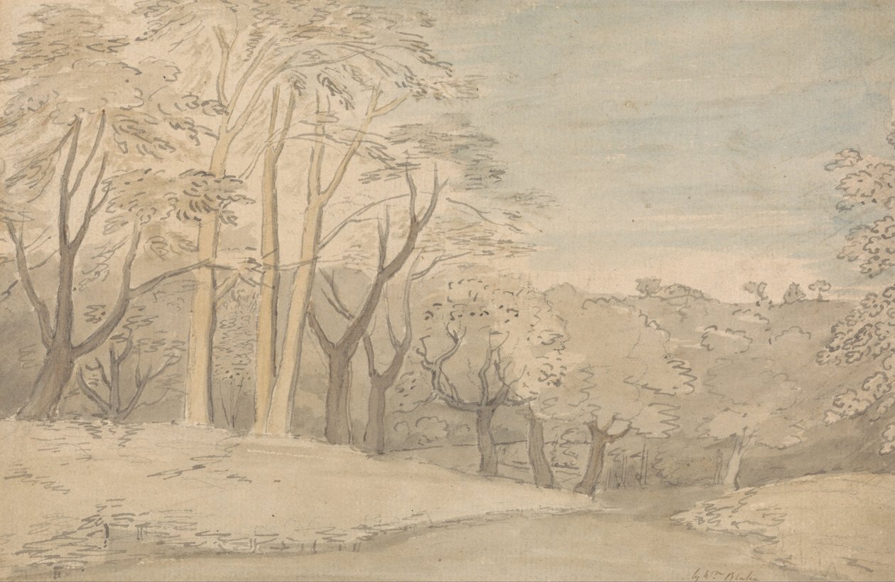 Et træligt landskab af William Blake