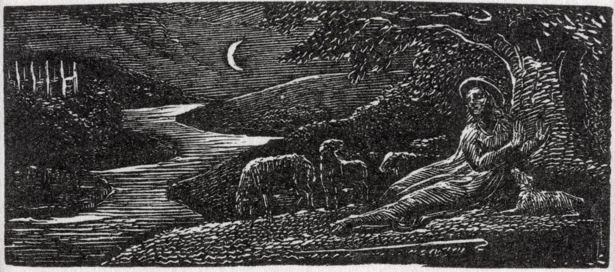 Colinet hviler sig ved Cambridge om natten, illustration fra Dr. Thornton