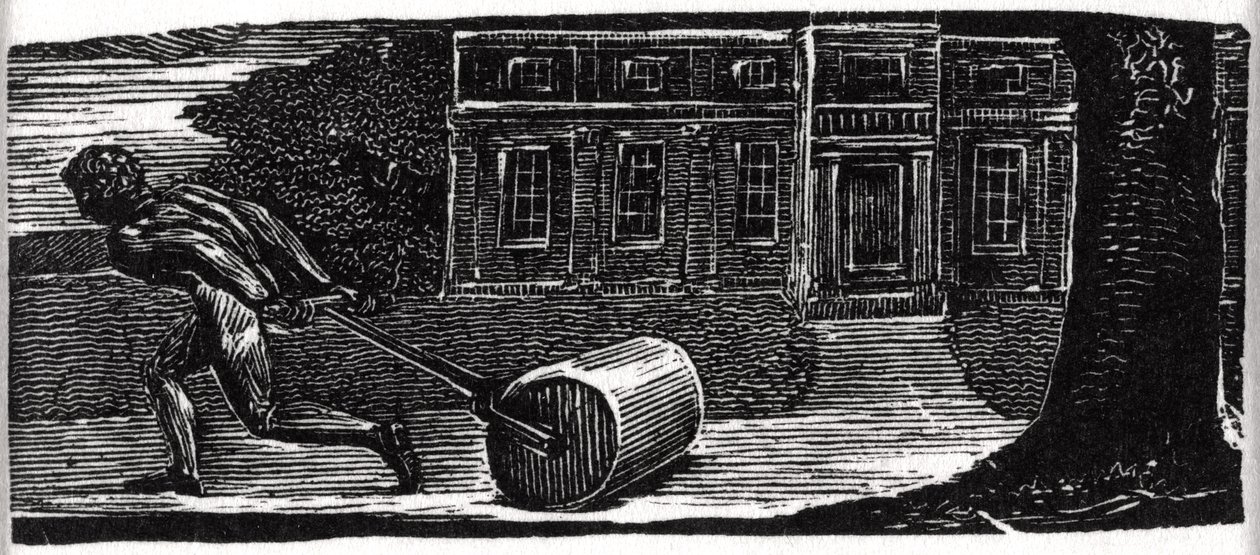 Colinet passer græsplænen, illustration fra Dr. Thornton