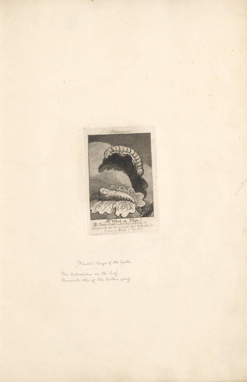 For kønnene- Paradisets porte, plade 2, Frontispiece, What is Man! af William Blake
