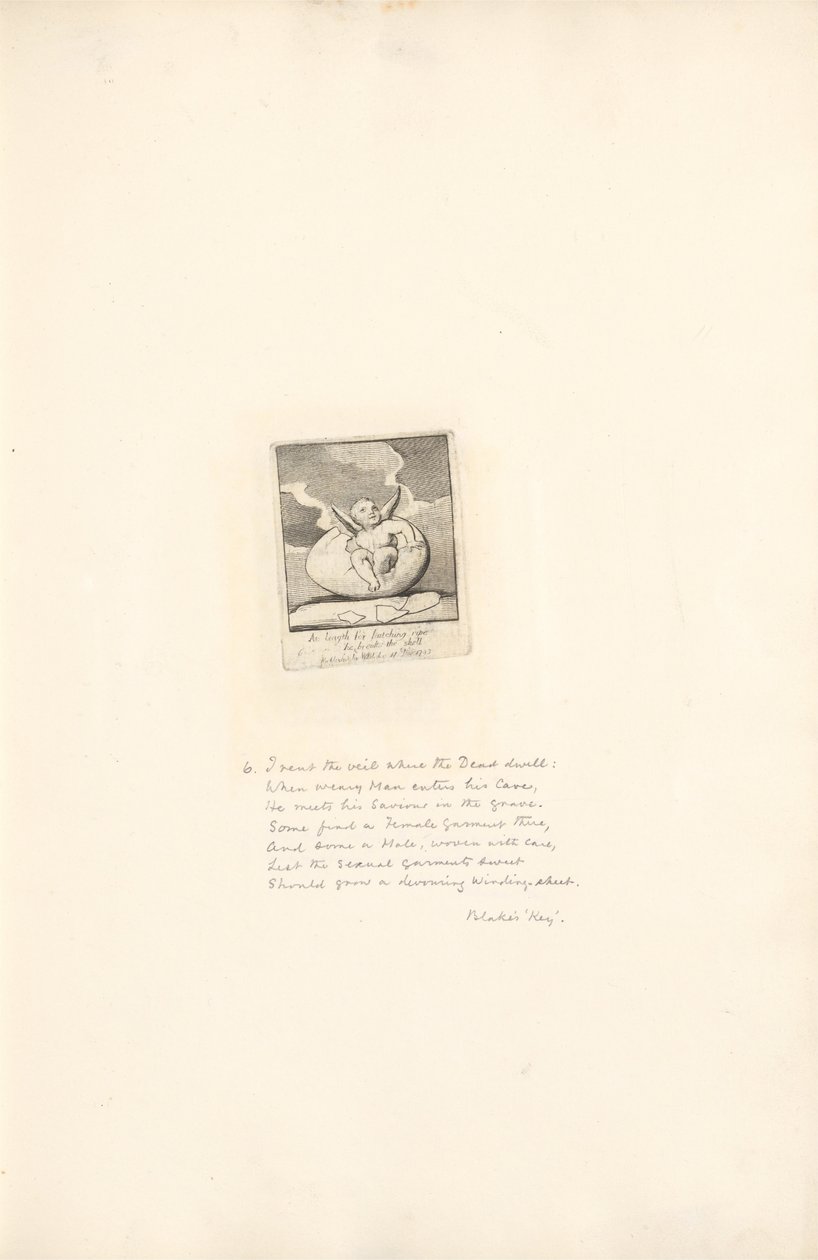 For kønnene- Paradisets porte, plade 8, Langt om at klække modne bryder han skallen af William Blake