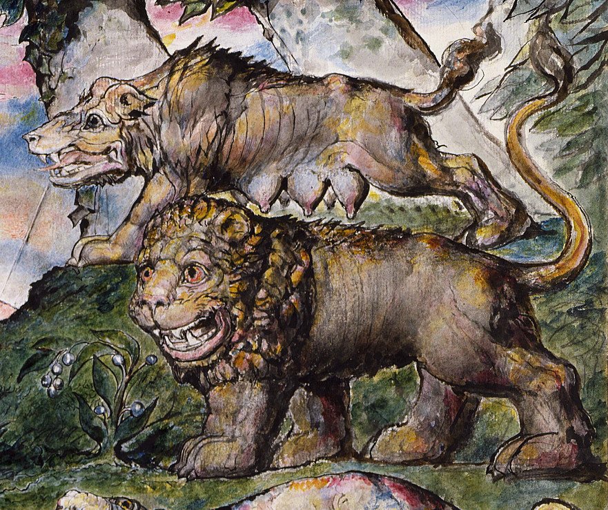 Løve og ulv af William Blake