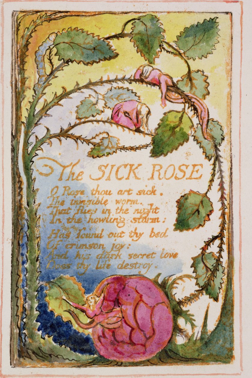 P.125-19503.pt39 Den syge rose: plade 39 fra Songs of Innocence and of Experience (kopi AA) c.1815-26 (ætsning, blæk og wc) af William Blake