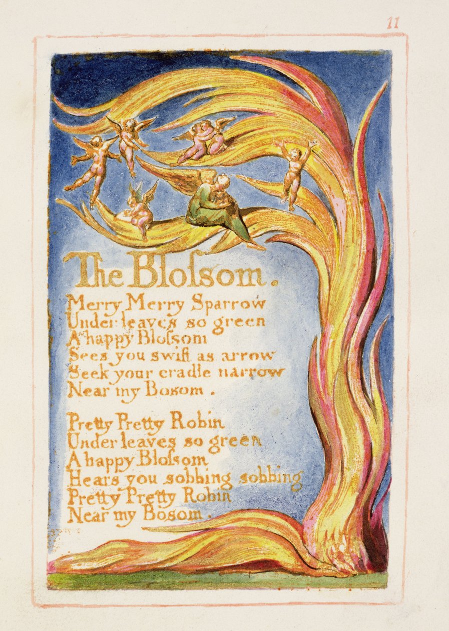 P.125-1950.pt11 The Blossom: plade 11 fra 
