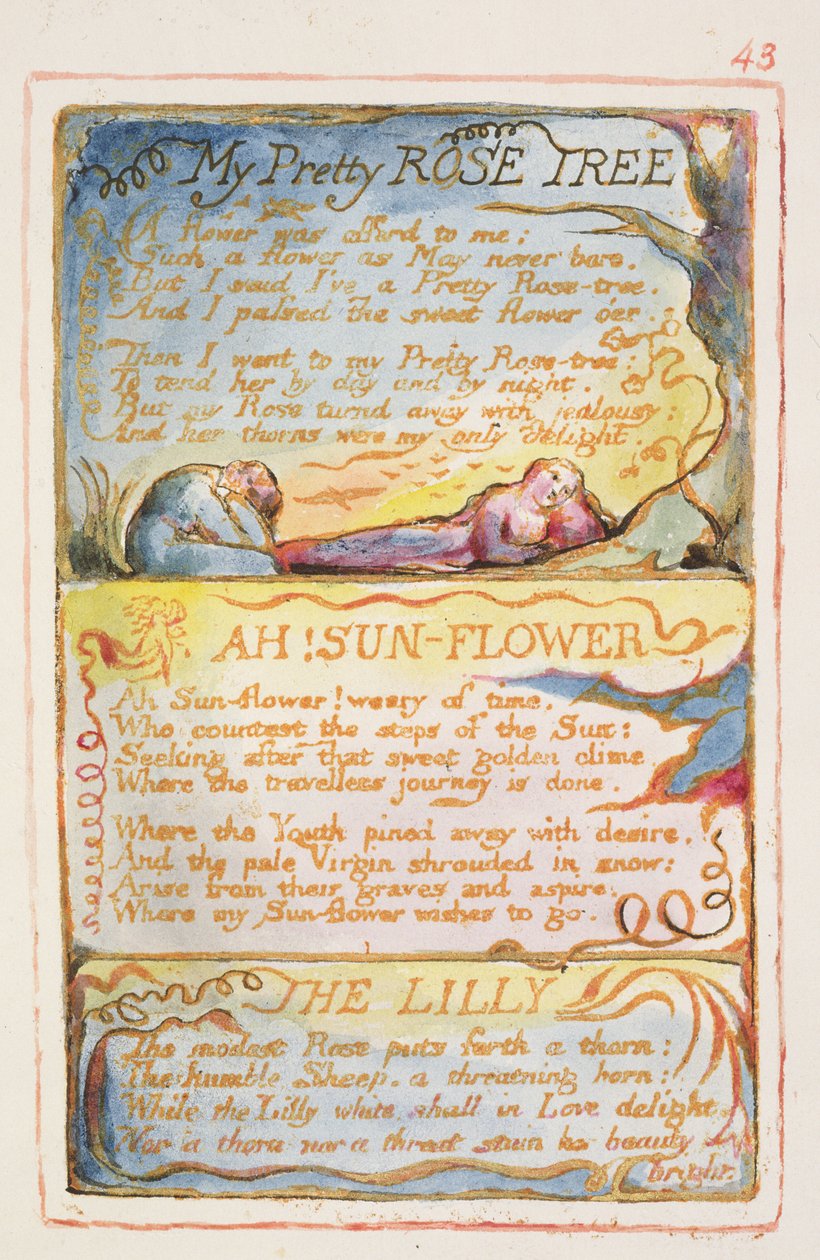 S.125-1950.pt43 Mit smukke rosentræ; Ah! Solsikke; The Lilly: plade 43 fra Songs of Innocence and of Experience (kopi AA) c.1815-26 (ætsning, blæk og wc) af William Blake