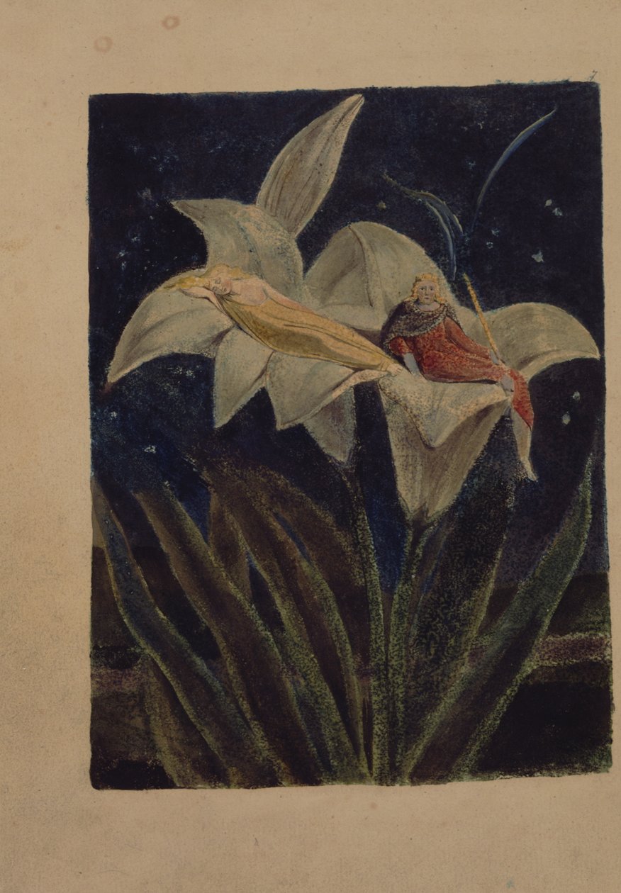 Plade 5 fra sangen om Los af William Blake