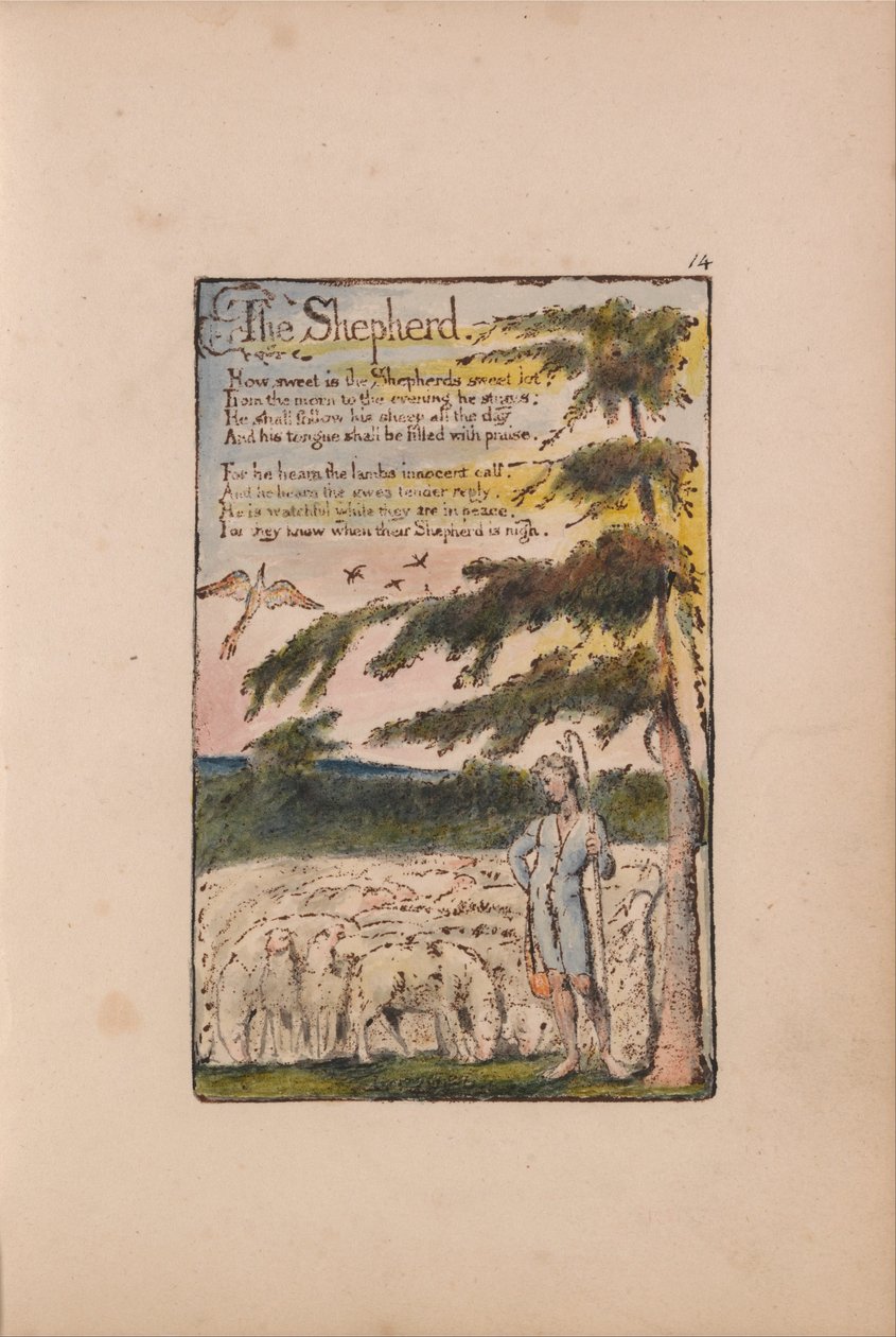 Sange om uskyld og erfaring af William Blake