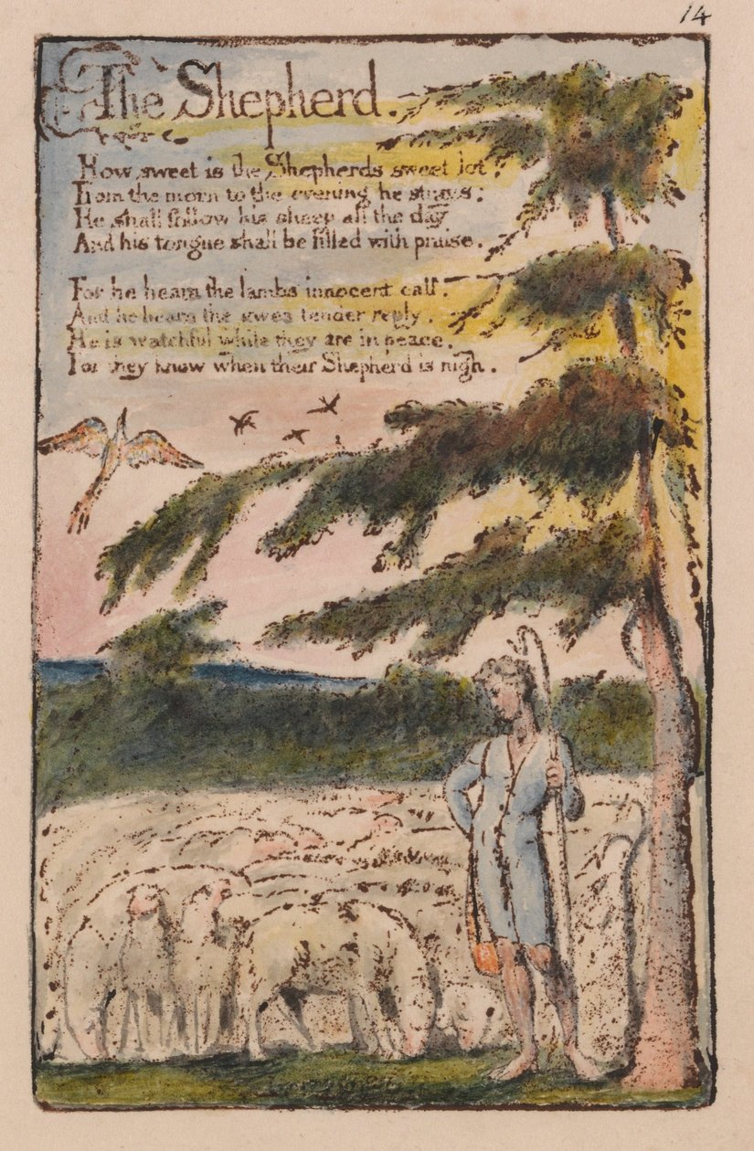 Sange om uskyld og erfaring, plade 14, hyrden (Bentley 5) af William Blake