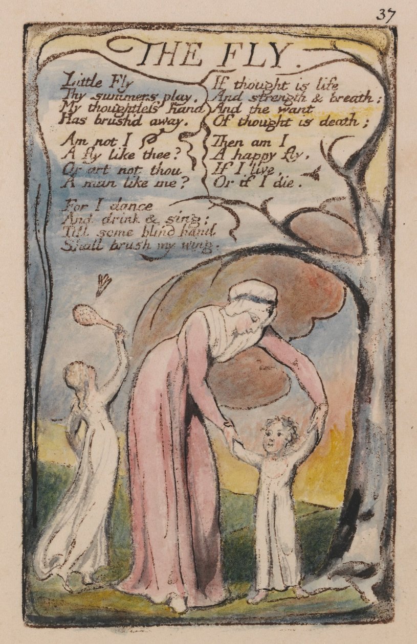 Sange om uskyld og erfaring, plade 37, flue (Bentley 40) af William Blake