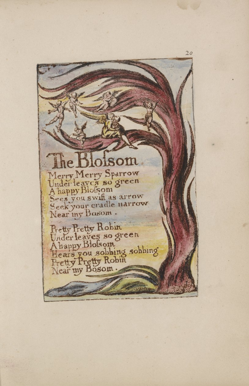 The Blossom, plade 20 fra Songs of Innocence and of Experience [Bentley 11] c.1789-94 (reliefætsning trykt i brunt med pen & blæk og wc) af William Blake