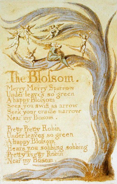 The Blossom, plade 9 fra Songs of Innocence, 1789 (reliefradering med wc på papir) af William Blake