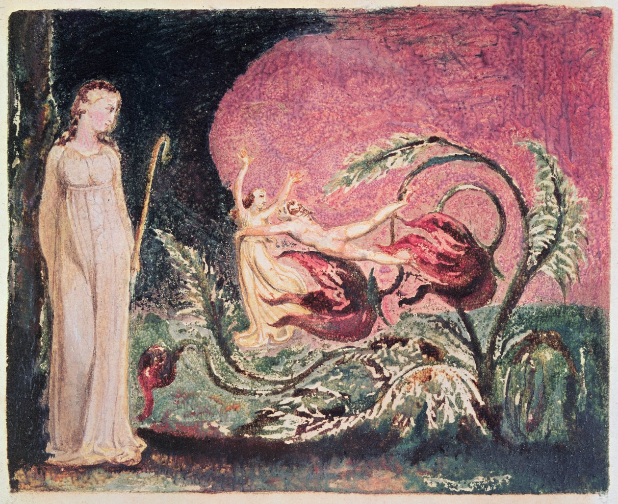 The Book of Thel: titelblad, 1794 (farvetrykt reliefradering) af William Blake