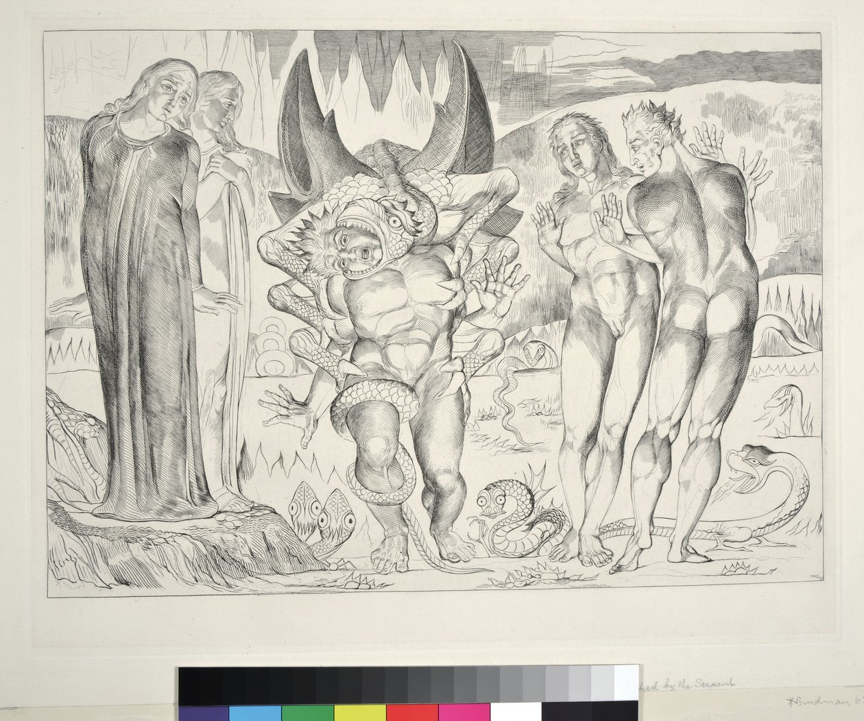 Tyvenes kreds: Agnolo Brunelleschi angrebet af en seksbenet slange, Inferno, Canto XXV, illustration til "Den guddommelige komedie" af Dante Alighieri, 1827 af William Blake