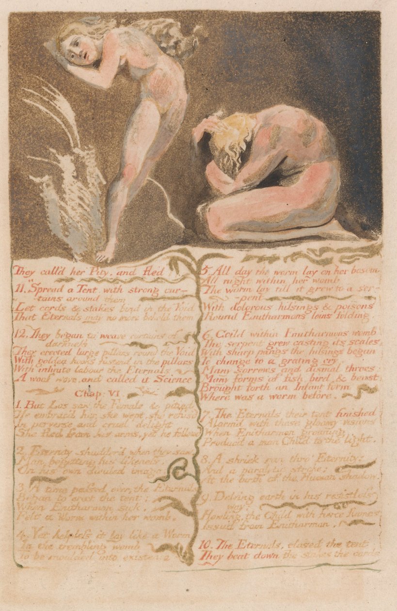 Den første bog af Urizen, plade 19, de kaldte hende medlidenhed og flygtede .... (Bentley 19) af William Blake