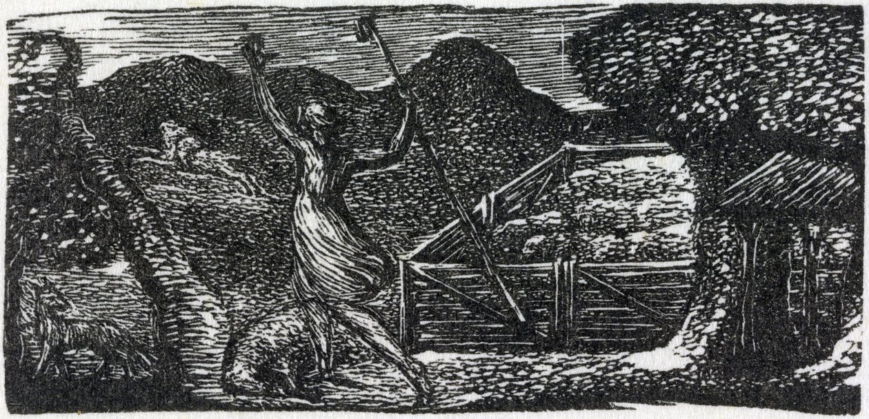 Den gode hyrde jager ulven væk, illustration fra Dr. Thorntons 