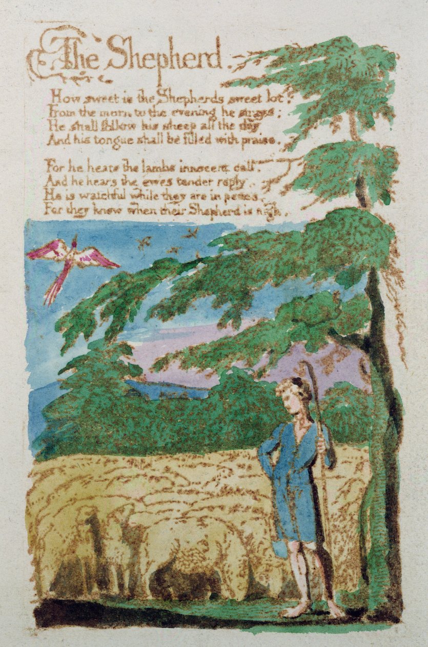 Hyrden, fra Songs of Innocence, 1789 (farvet radering) af William Blake