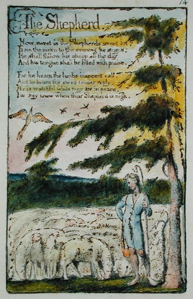 Hyrden, illustration fra Songs of Innocence and of Experience, (Bentley Copy L) pl.14 (Bentley 5) 1789-94 (reliefradering med pen & wc på papir) af William Blake