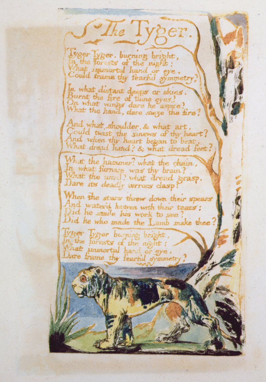 Tyger, fra Songs of Innocence af William Blake