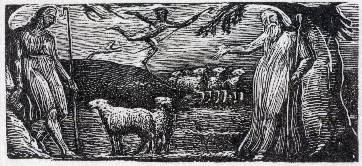 Thenot protesterer med Colinet, Lightfoot in the Distance, illustration fra Dr. Thorntons 