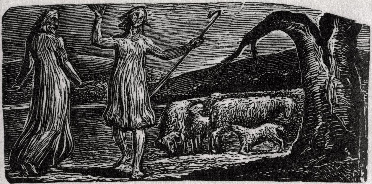 Thenot, med Colinet viftende med armene i sorg, illustration fra Dr. Thorntons 