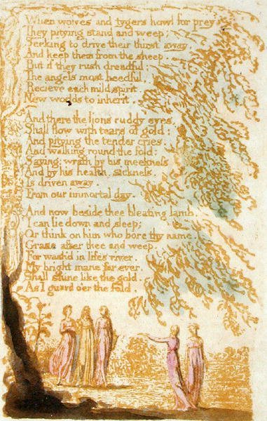 When Wolves and Tygers Howl..., plade 17 fra Songs of Innocence, 1789 (reliefradering med wc på papir) af William Blake