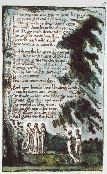 When Wolves and Tygers... illustration fra Songs of Innocence and of Experience (Bentley Copy L) pl.19 (Bentley 21) 1789-94 (relief ætsning med pen og wc på papir) af William Blake