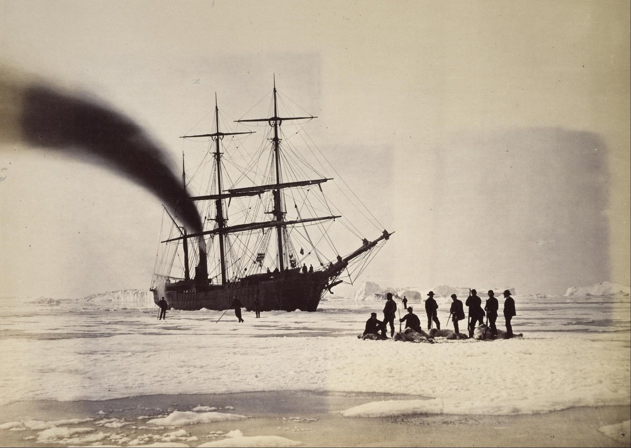 Jagt med damp i Melville Bay af William Bradford