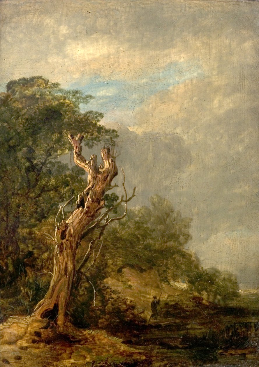 Det visne træ af William Collins