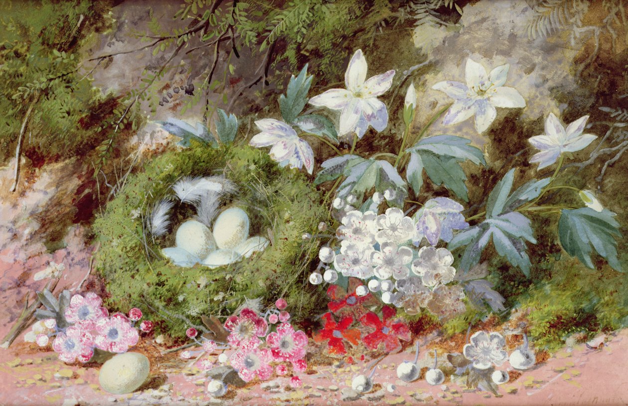 Stilleben med fuglerede af William Cruikshank