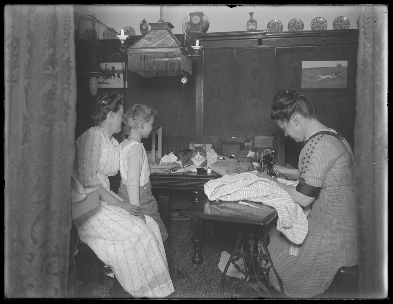 Ethel Gray Magaw Hassler, William Gray Hassler (lille dreng), Harriet E. Hassler (betjent symaskine) og Reddy (kat) i spiseområdet på 150 Vermilyea Avenue, Lejlighed 44, New York City, ca. af William Davis Hassler