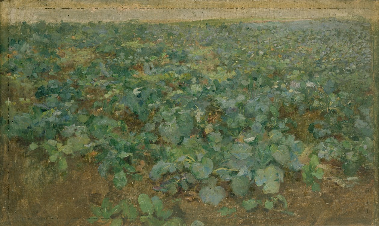 Roemarken af William Edward Stott