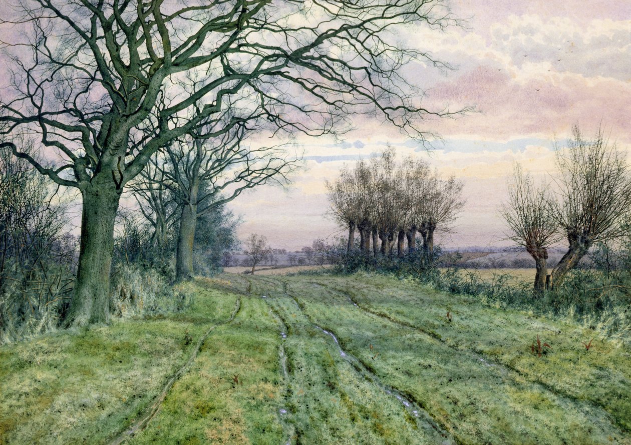 En Fenlandsbane med pollarded piletræer, 1887 af William Fraser Garden