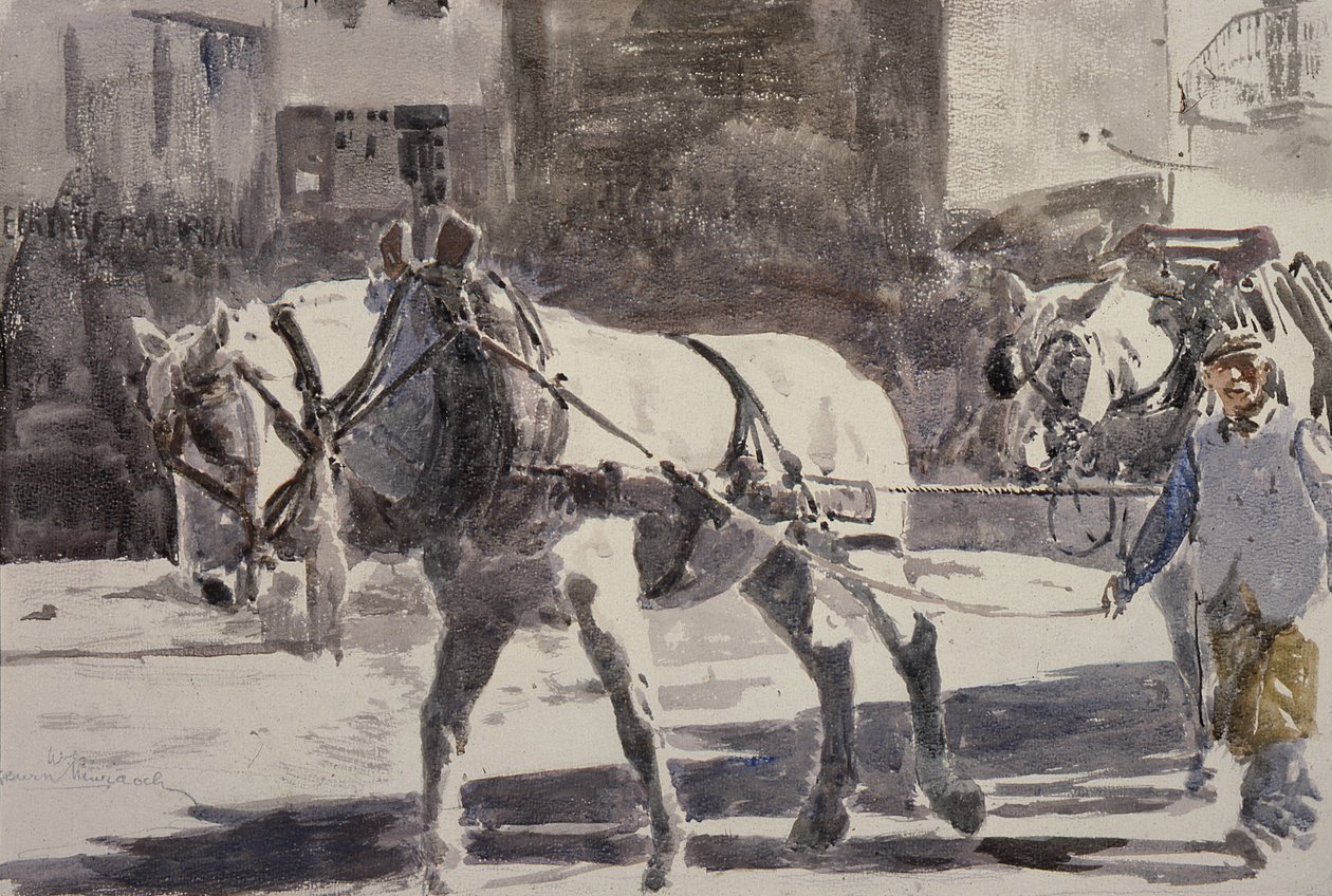 To Percheron-heste af William G. Burn Murdoch