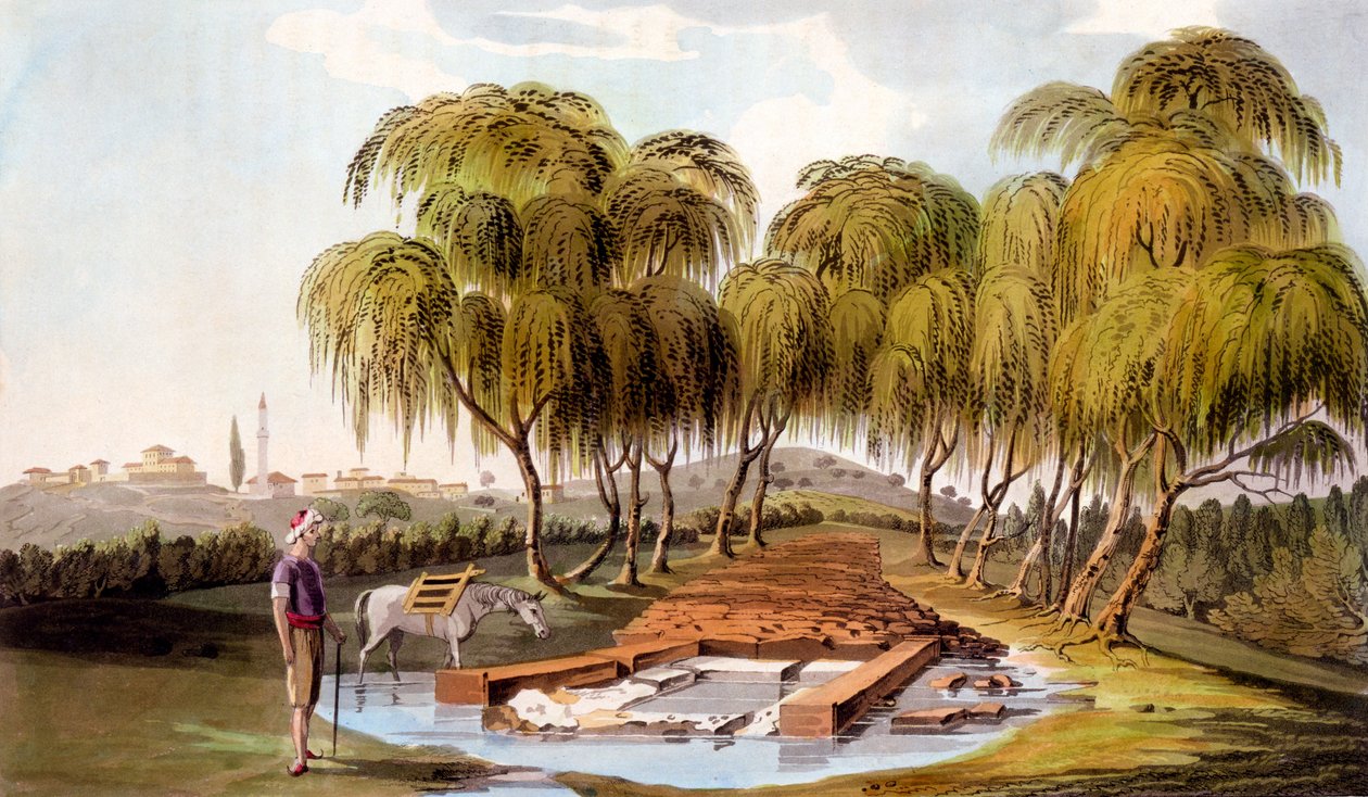 Kilde ved Skamanderåens udspring, 1804 af William Gell