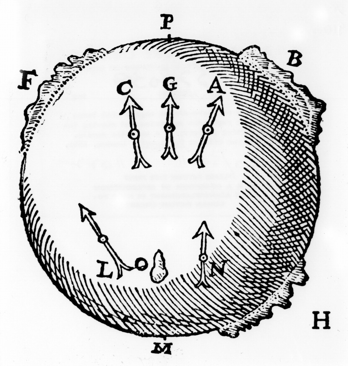 En terrella- eller klodeformet magnet med jernklumper, der repræsenterer bjerge og viser den nordsøgende egenskab af en magnetisk nål. Fra William Gilbert De Magnete, London, 1600 af William Gilbert
