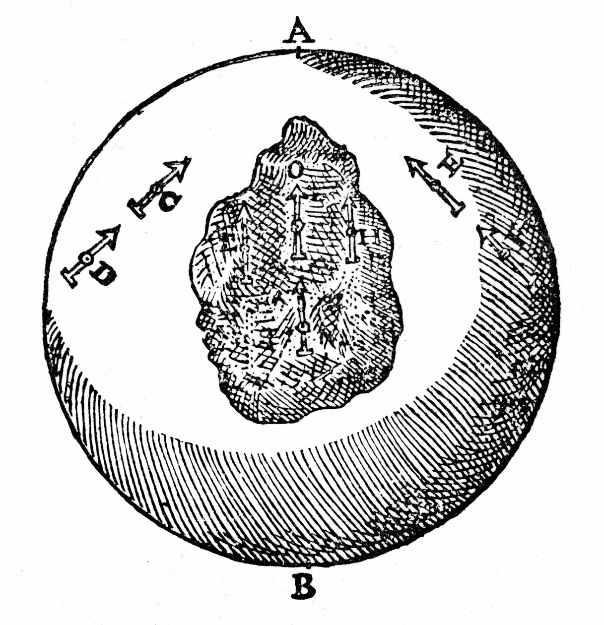 Magnetiske nåle på en terrella vil pege mod nordpolen, A. andre nåle vil gøre det samme, selvom terrellaens overflade er ujævn, som ved O. Fra William Gilbert De Magnete, London af William Gilbert