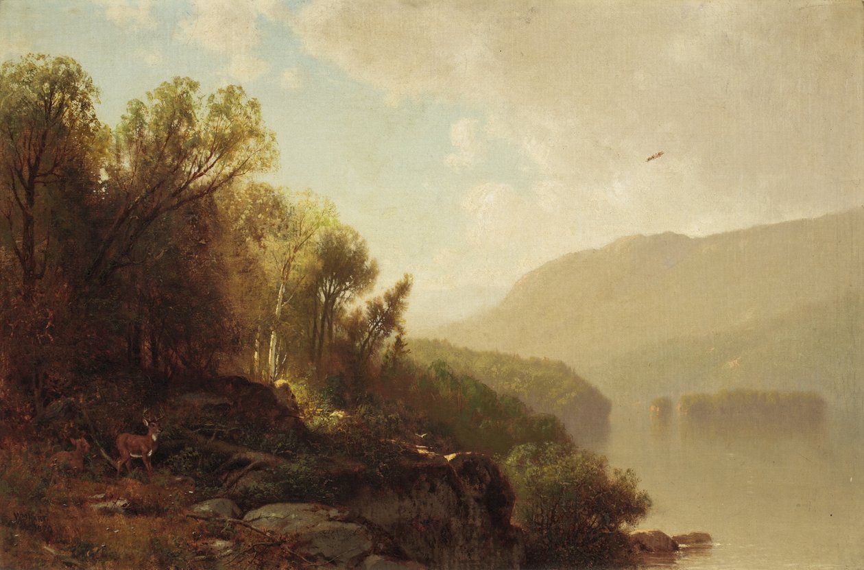 I Adirondacks, 1870 af William Hart