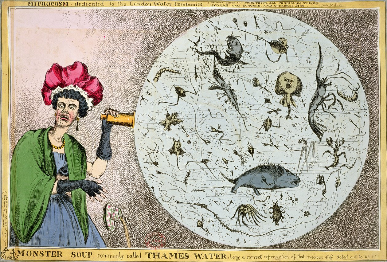 Mikrokosmos dedikeret til London Water Companies: Monstersuppe, almindeligvis kaldet Thames Water, der er en korrekt gengivelse af de dyrebare ting, der er uddelt til os!!!, graveret og udgivet i 1828 f. af William Heath