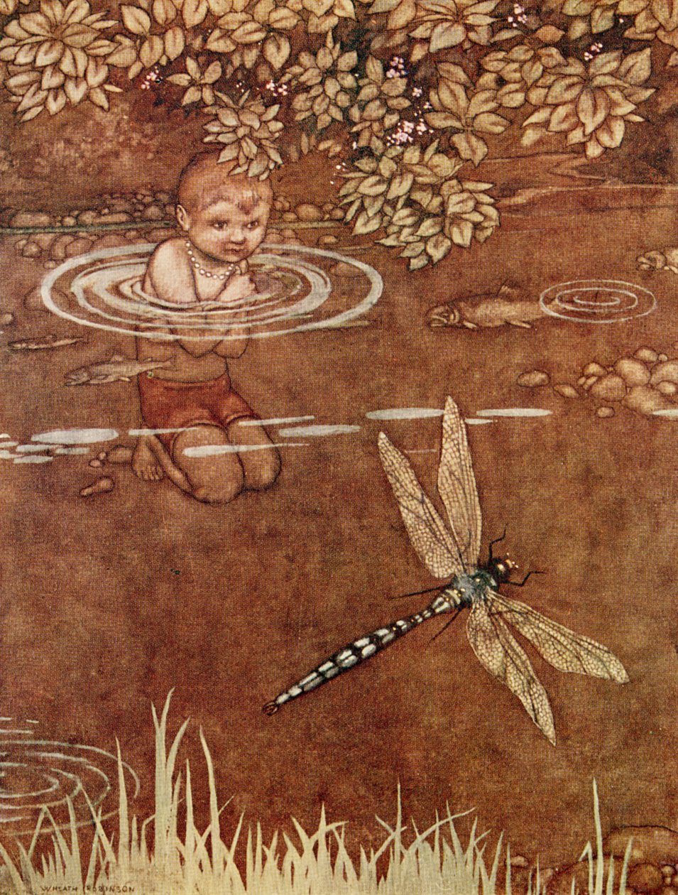 Han var lidt indbildsk med sine fine farver og sine store vinger af William Heath Robinson