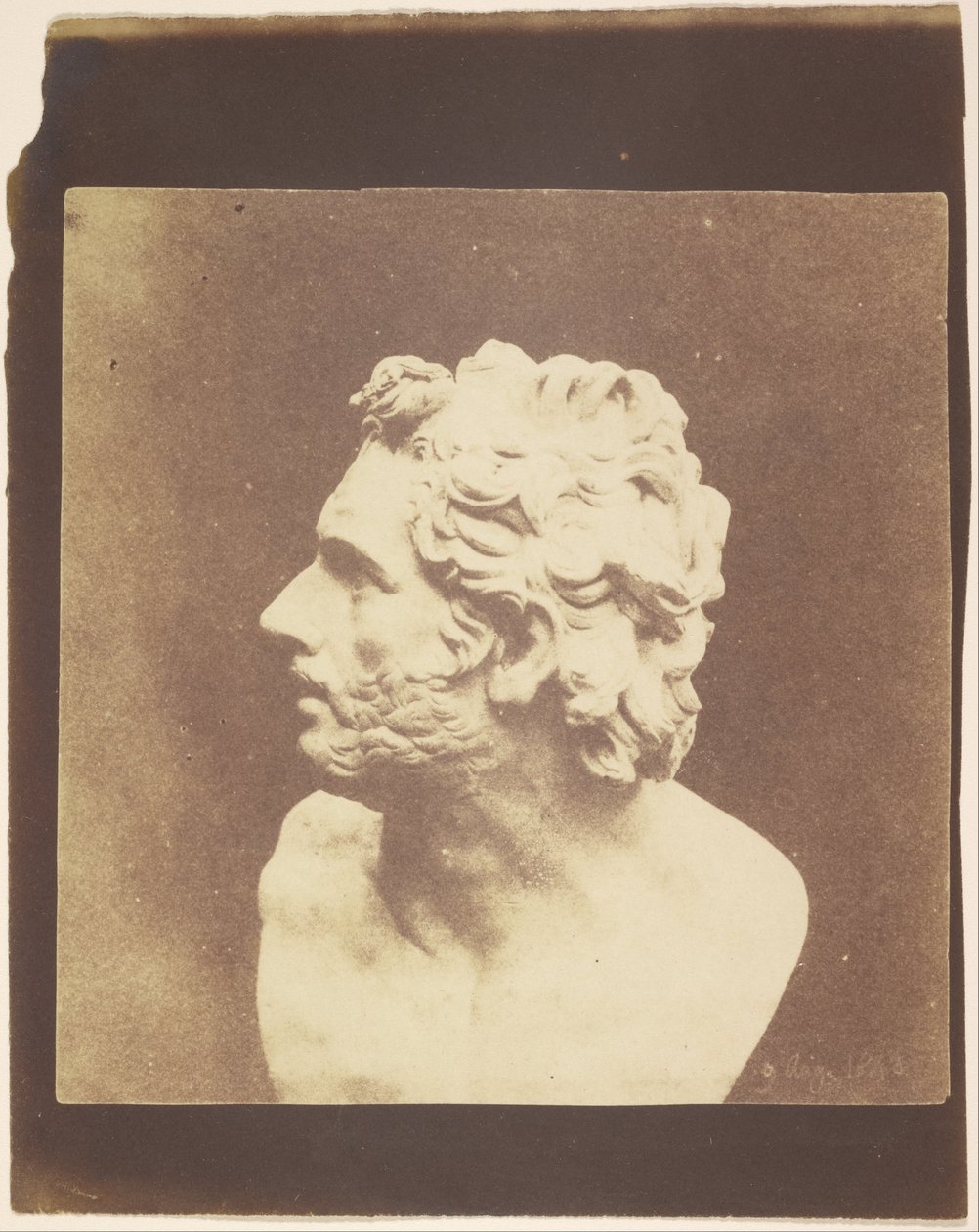 (Bust of Patroclus) af William Henry Fox Talbot