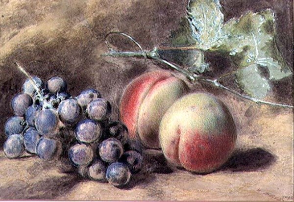 Druer og ferskner, 1800-tallet af William Henry Hunt