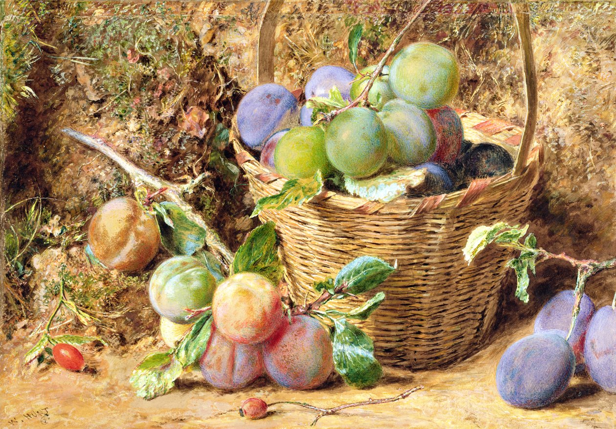 Blommer (wc) af William Henry Hunt