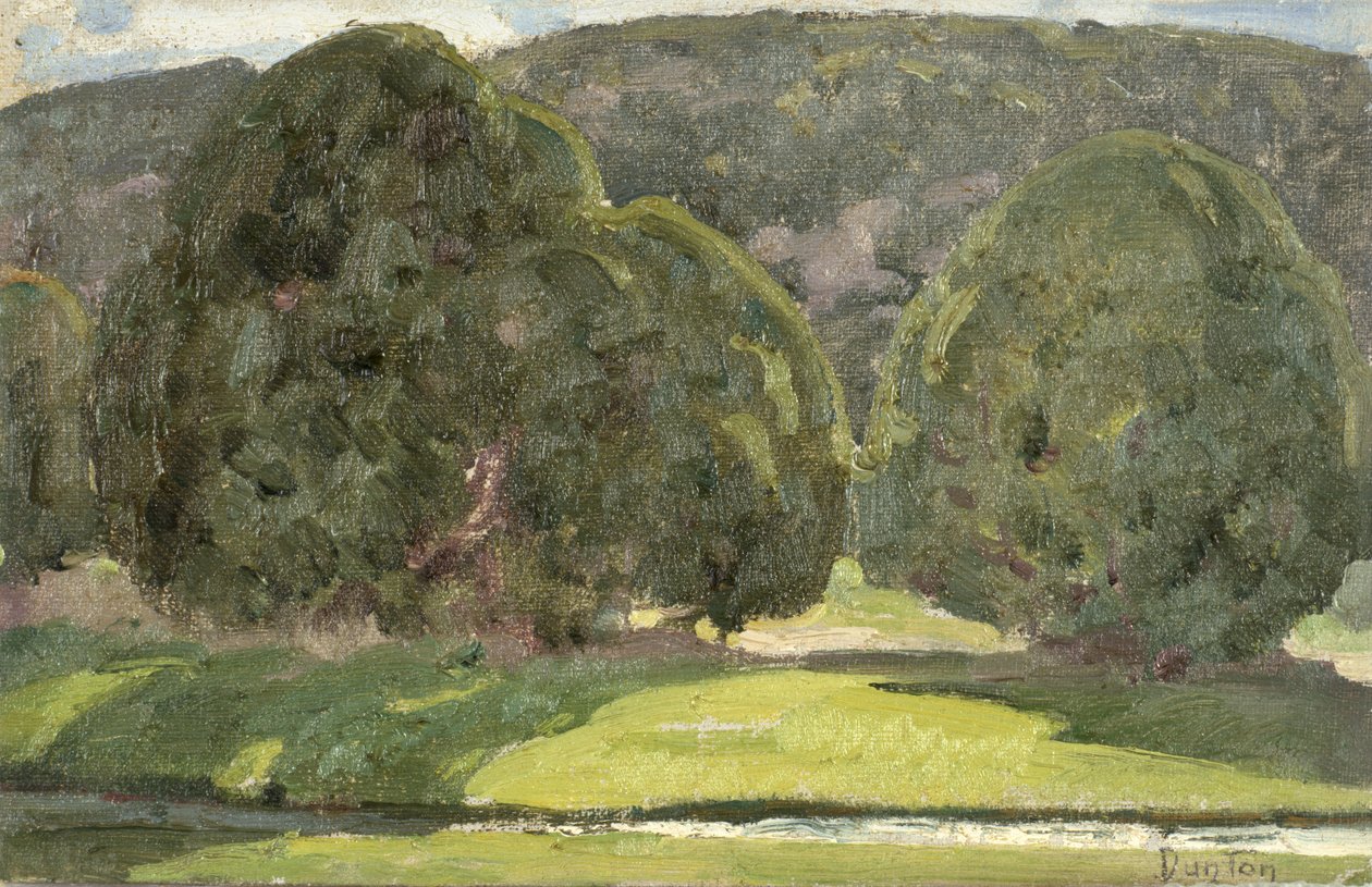 Sollys og cedertræer, ca. 1933 af William Herbert Buck Dunton