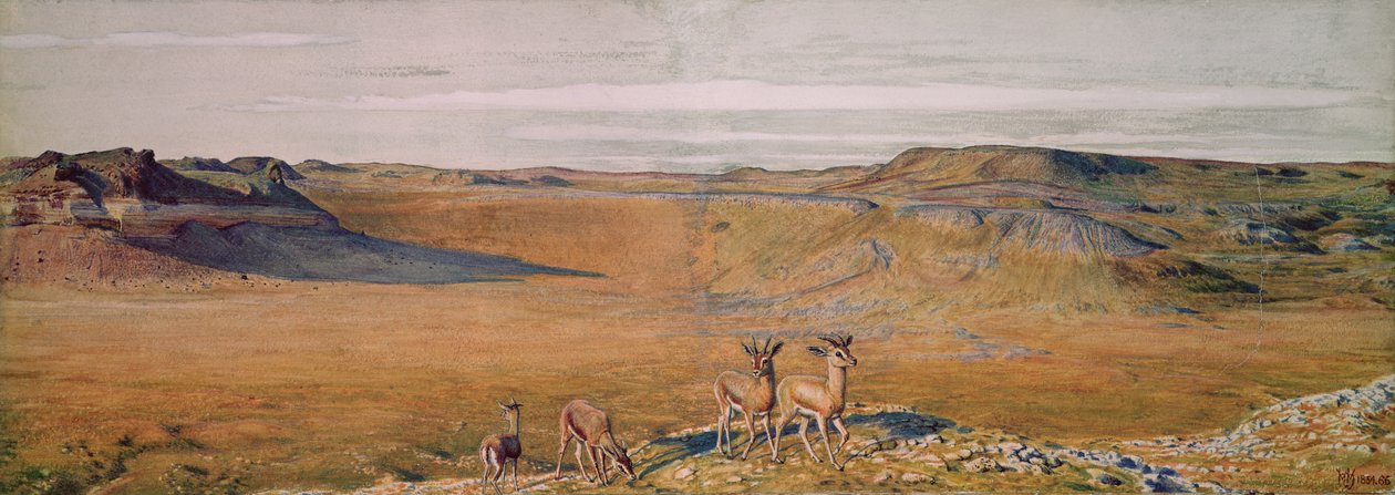 The Wilderness of Gizeh, 1854 af William Holman Hunt