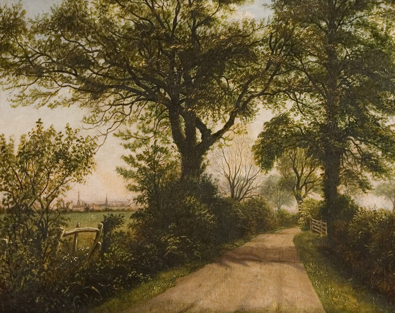 Fjernsyn over Coventry, slutningen af det 19. århundrede af William Howard Reeve