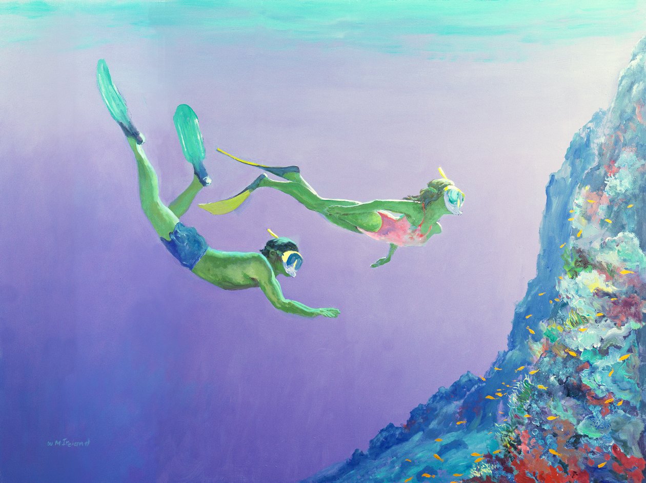 Snorklers af William Ireland