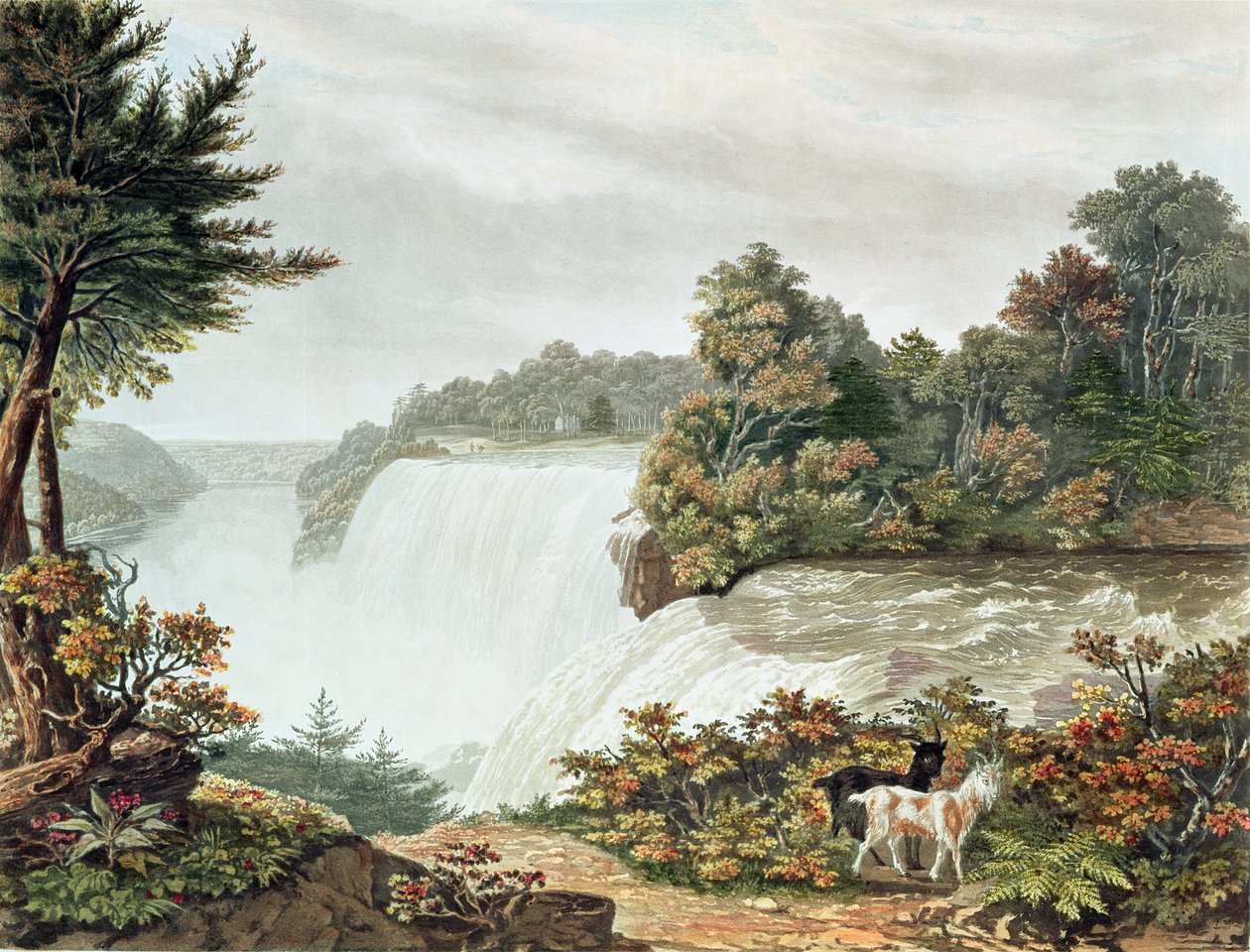 Niagara Falls, fra Goat Island af William James Bennett