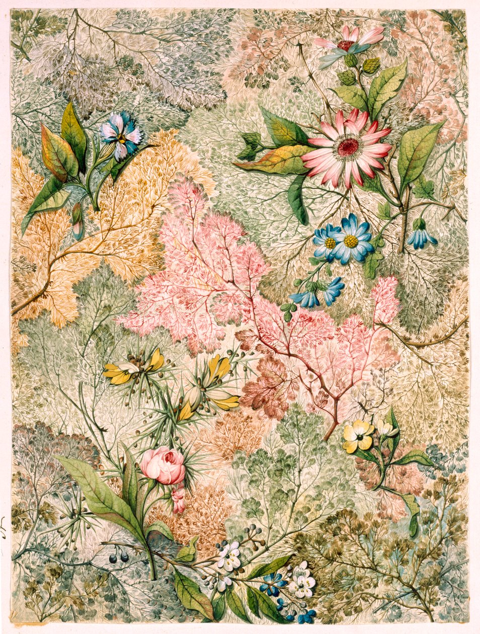 Marmor endepapir (papir) af William Kilburn