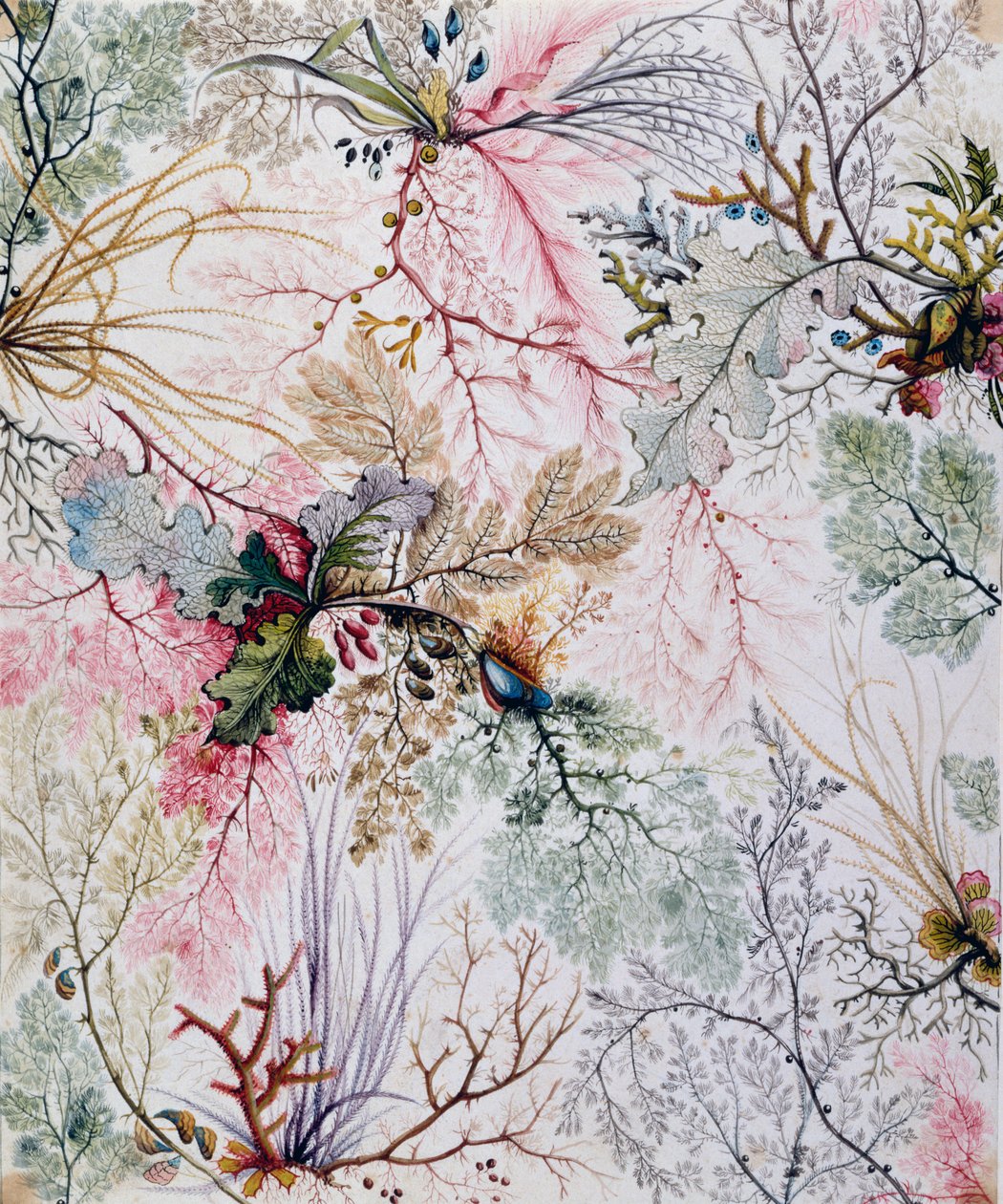 Tekstildesign, c.1788-92 af William Kilburn